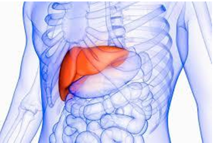 Liver Detox